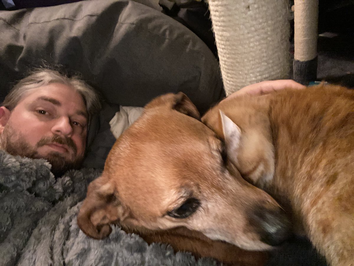 Matt Ramsey tweet media