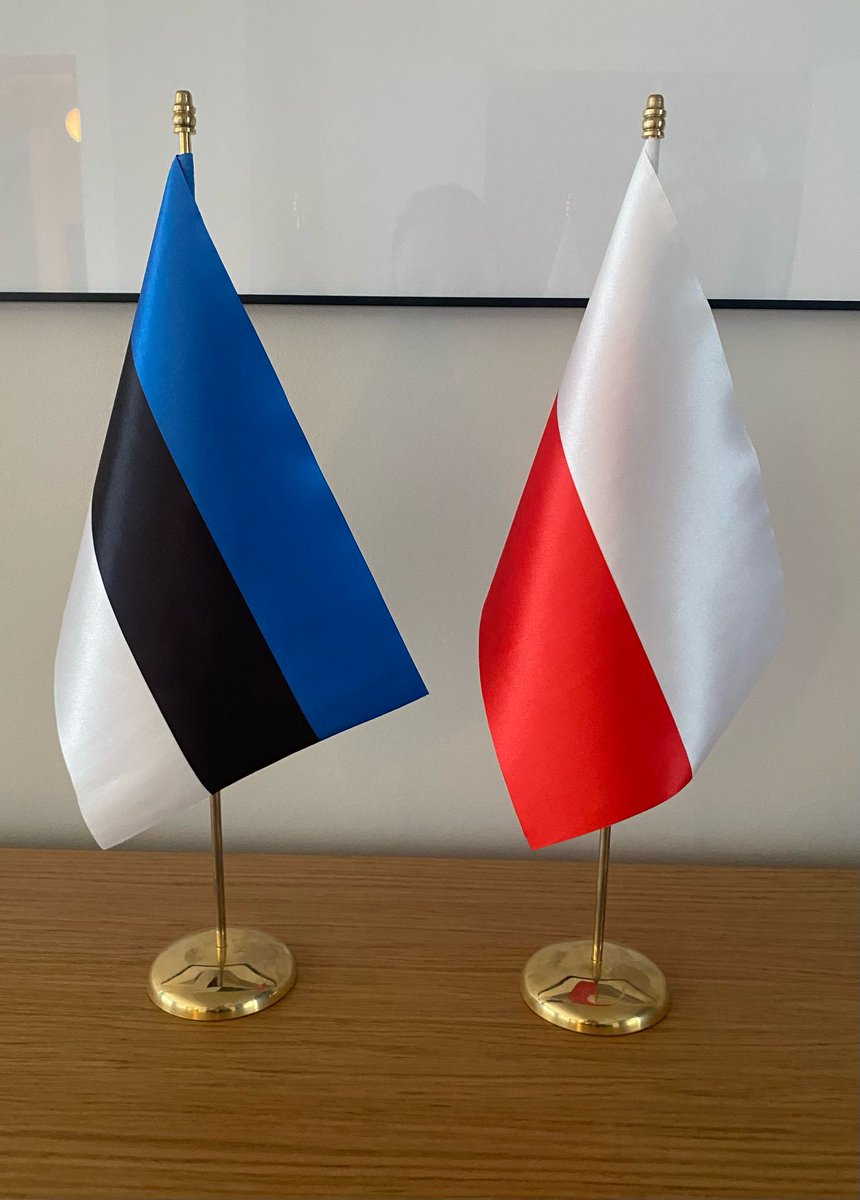 3S1OConference's tweet photo. W środę odbyło się spotkanie organizatorki @3S1OConference @MSamojedny z ambasadorem Estonii @MikoHaljas 🇵🇱🤝🇪🇪
Serdecznie dziękujemy @estoniainpoland za patronat nad #3S1O #WelcomeToWarsaw i cenne wsparcie!
#JoinTheEvent #April27 #SideEvent #3SISummit2025 https://t.co/8CrbdOC21D
