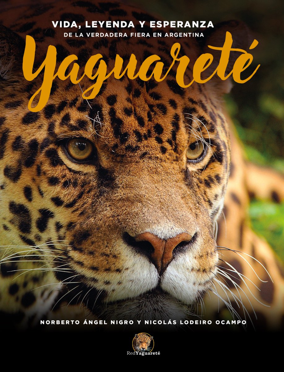 Se viene el gran libro sobre el "Yaguareté: vida, leyenda y esperanza de la Verdadera Fiera en Argentina", donde tiramos toda la carne a la parrilla.

¡RESERVÁ EL TUYO!

Y la pre-venta para retiro exclusivo en Capital Federal el día del evento de presentación ya está disponible