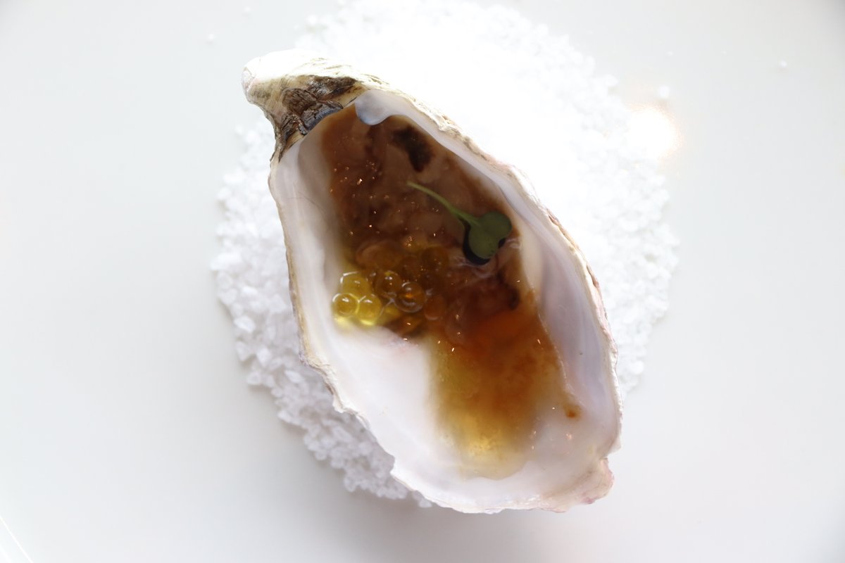 🔥 Técnica, actitud y pasión. En el Concurso de Camarero/a del Año, cada detalle cuenta: desde un buen emplatado en mesa hasta el dominio de los cócteles de autor.  #CocineroDelAño10 <a href="/DACTurismo/">Turismo Deputación da Coruña</a>