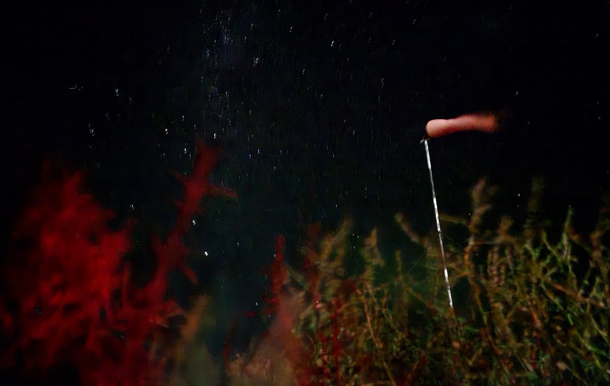 Carnarvon Karoo sky after dark. Did a splendid #culturalastronomy experience with the Carnarvon Astro Guides at the town's airport. A genuine must do travel experience. #NorthernCape #SouthAfrica #ilovenortherncape #experiencenortherncape #visitsouthafrica #astrotourism