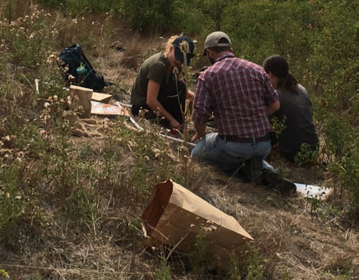 Nutritional Ecology Working Group (NEWG) (@newg_tws) on Twitter photo Registration for the Measuring Forage Quantity and Quality for Herbivores workshop closes April 30th! 
Work shop dates: June 10-12th (June 13th optional half day) in Palmer, Alaska.  Visit our website for more info!
wildlife.org/newg/workshops/ Registration for the Measuring Forage Quantity and Quality for Herbivores workshop closes April 30th! 
Work shop dates: June 10-12th (June 13th optional half day) in Palmer, Alaska.  Visit our website for more info!
wildlife.org/newg/workshops/
