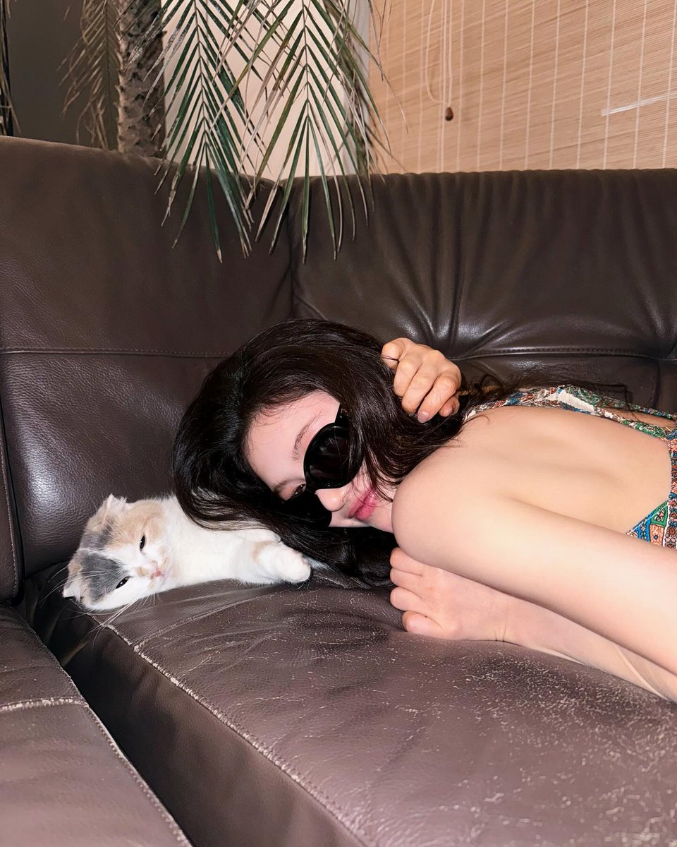 mwodani's tweet photo. ㅤㅤㅤㅤ https://t.co/VzAPsp5fDr