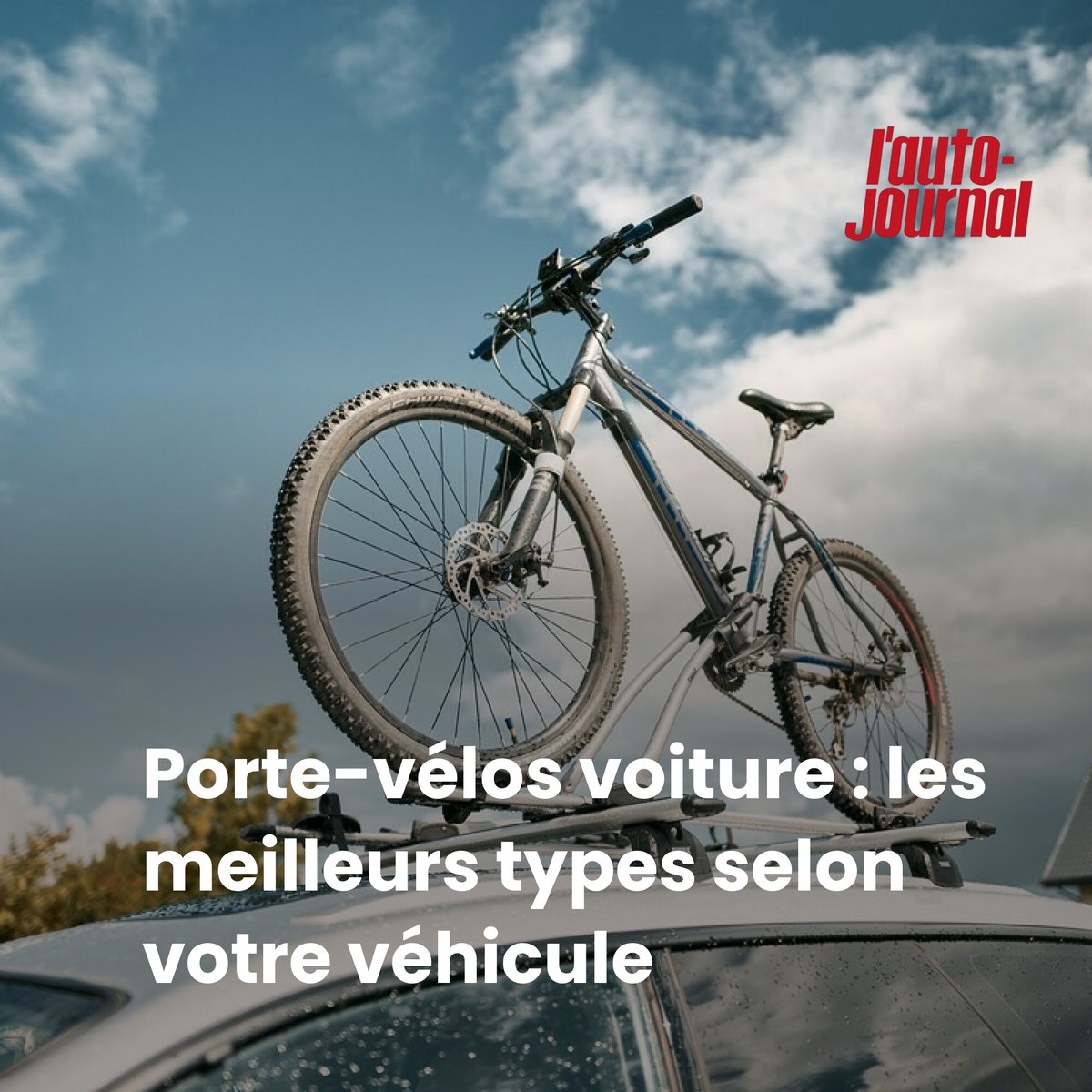 AutoJournalMag tweet media