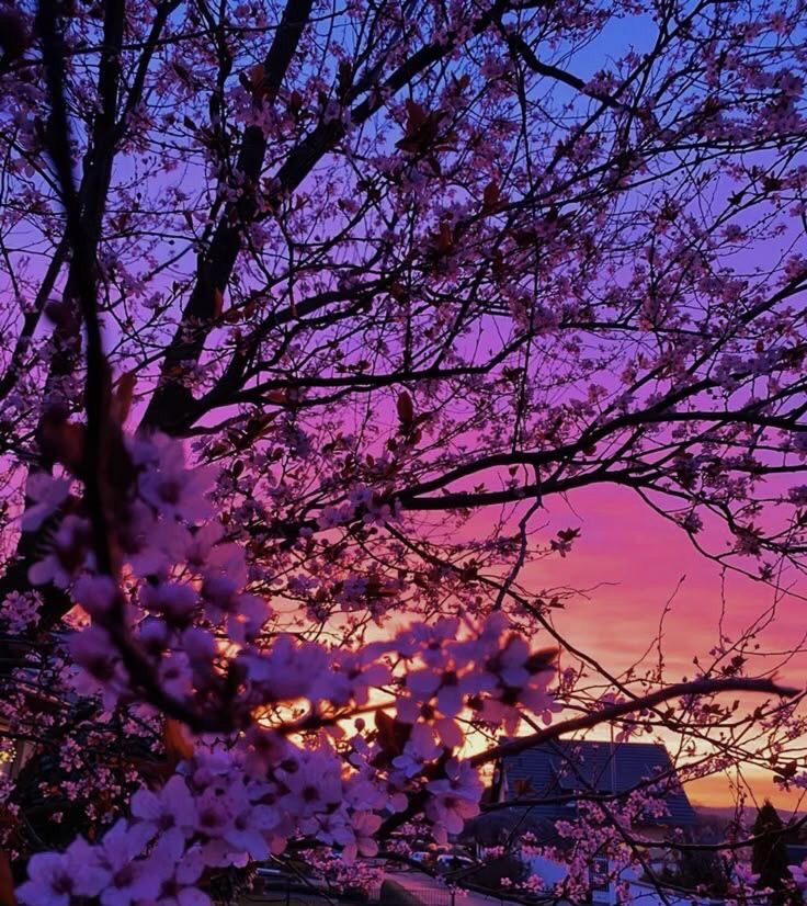 violet✧*｡ (@violettweets_) on Twitter photo 