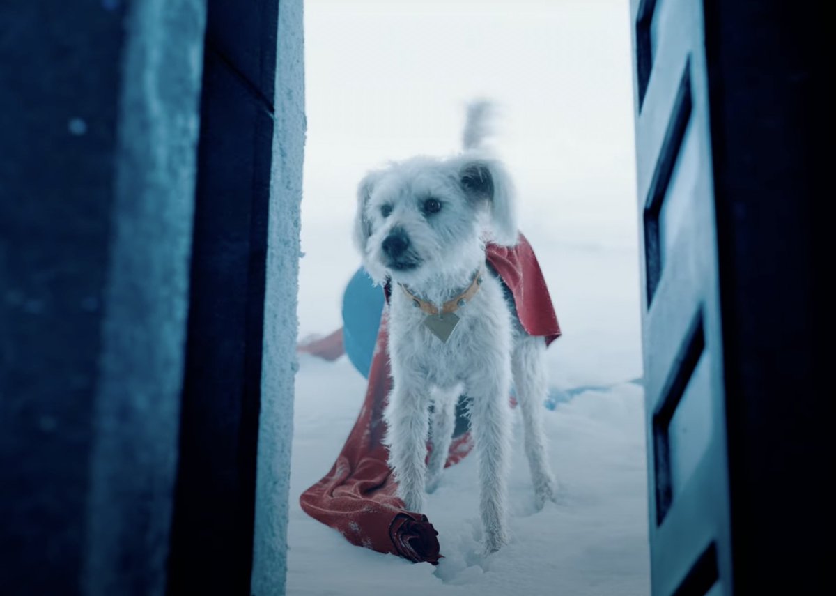 Variety's tweet photo. James Gunn's #Superman footage from CinemaCon has debuted online and features an extended look at David Corenswet's Man of Steel, Krypto the Superdog, the Fortress of Solitude and more.

Watch the footage here: https://t.co/qKCQe7bC9P https://t.co/C7IZ6tBA52
