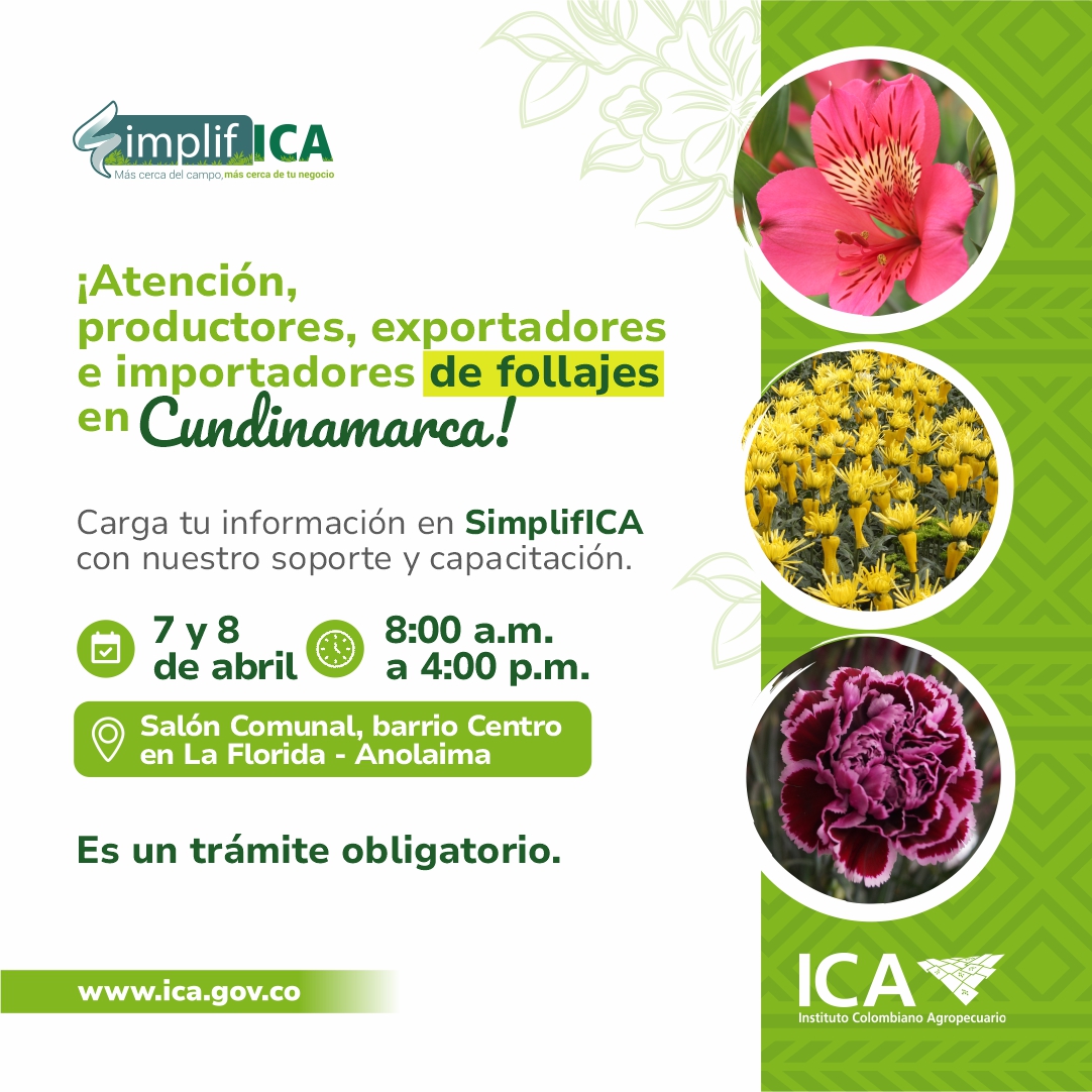 ICACOLOMBIA's tweet photo. 📢 Si eres productor e importador de follajes en Cundinamarca, te esperamos en La Florida, Anolaima, donde nuestros expertos te guiarán en una jornada de cargue de información, capacitación y soporte para la actualización del Registro en #SimplifICA.
#ICAColombia https://t.co/q2j9i9Aj9H