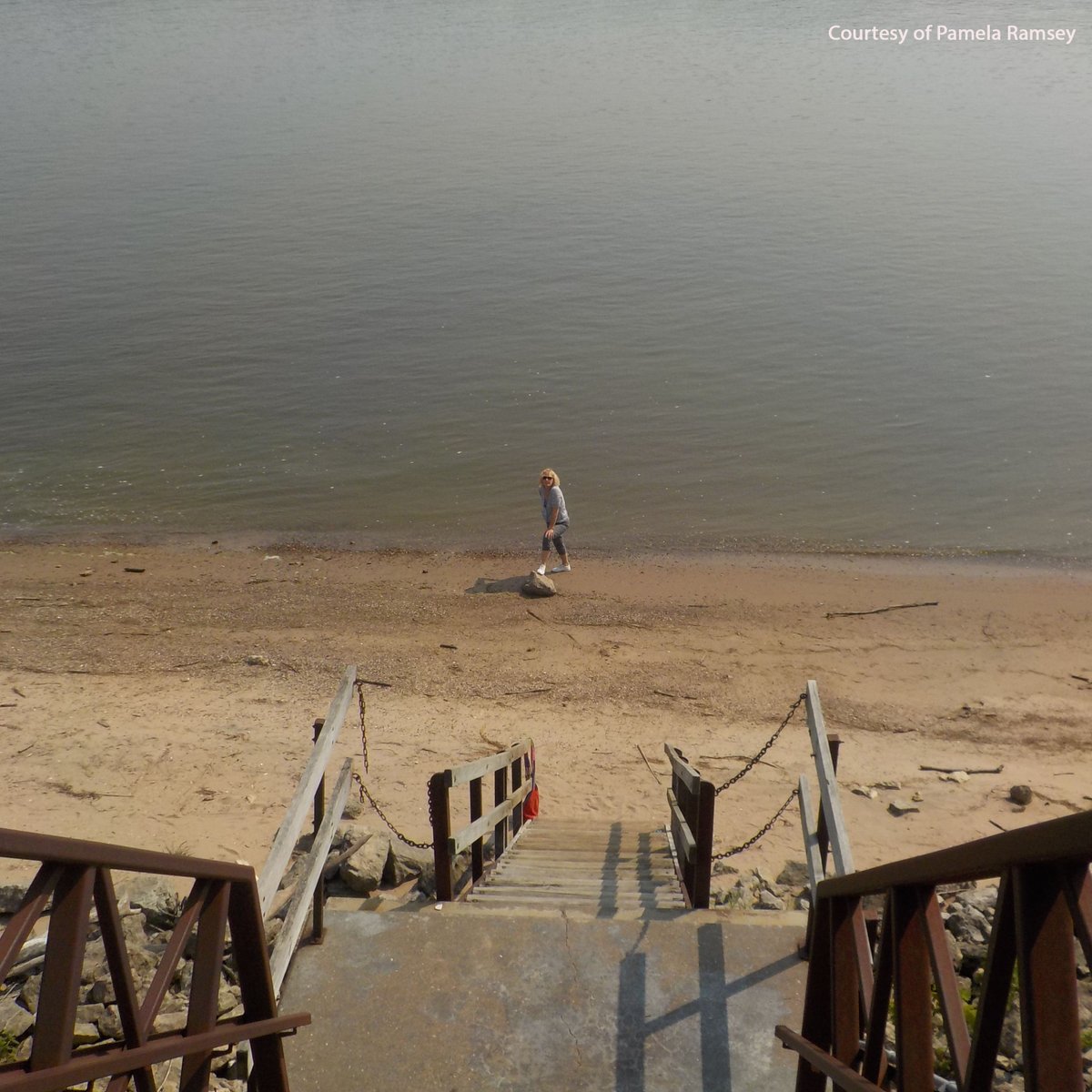 We’ve banked almost 57,000 hours for Earth! Check out some of the activities participants did to connect with and give back to our planet. You can join in to Give an Hour for Earth between now and Earth Day on April 22nd: wwf.to/4hBAn3v.