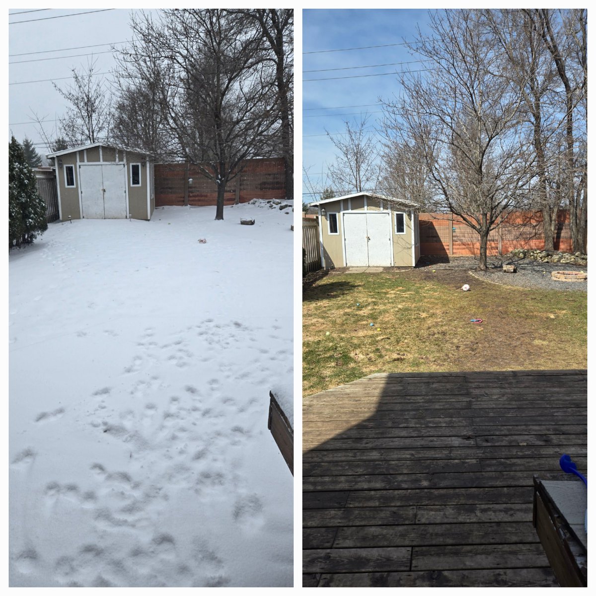 CourtHaw's tweet image. Canadian spring at it&apos;s finest! Yesterday, snow and ice, then thunderstorms overnight. ⛈️ Today sunny and 17C ☀️ 🤣#canadianspring