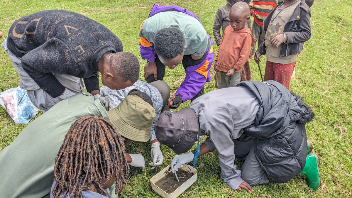 NdikumanaL76315's tweet photo. lt was very interesting to have team from #CoeB in EGM, where we did biodiversity inventory in #Mugogowetland & @Busogoforest. we gained valuable insight into nature and learned biodiversity conservation.
A great step towards enhancing conservation.
@mindje
@CoEBrwanda https://t.co/UbL4YDEeXw