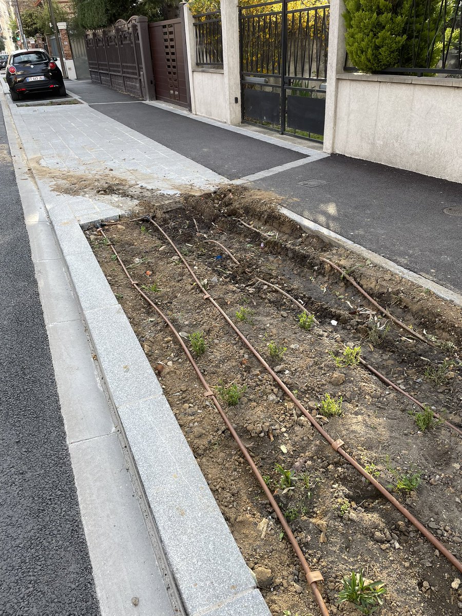 Colombes Unie tweet media