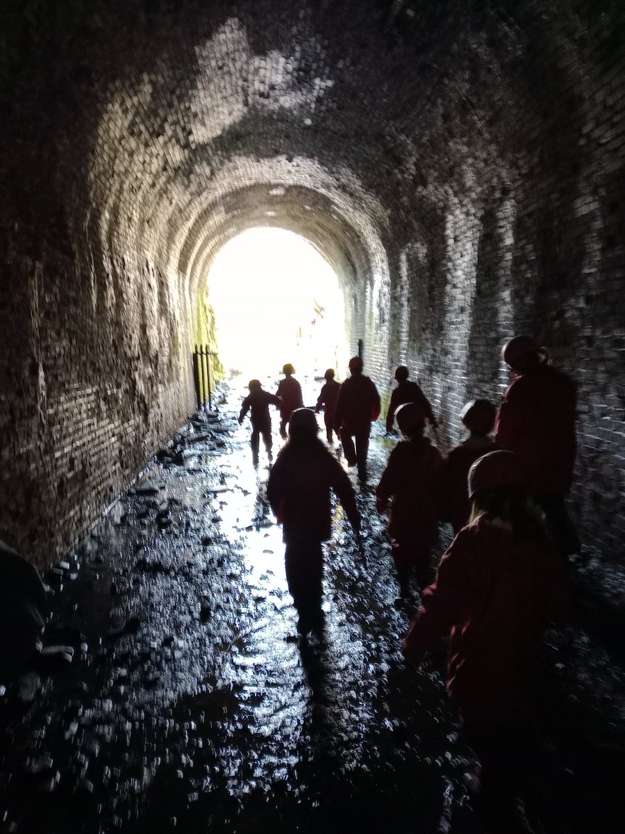 Greenfields Primary School and Nursery tweet media