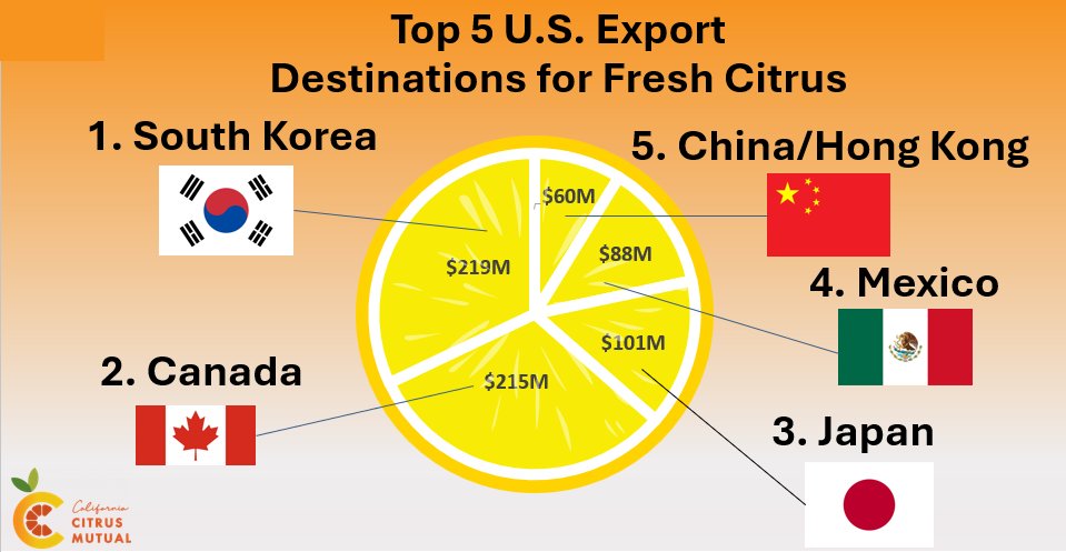 1. CA produces 93% of the fresh citrus in the U.S
2. the U.S. exported over $814M in fresh citrus last year!

Top destinations:

🇰🇷 South Korea – 26.9%
🇨🇦 Canada – 26.4%
🇯🇵 Japan – 12.4%
🇲🇽Mexico – 10.8%
🇨🇳China/HK – 7.4%

American farmers → Global markets.
🍊 #DidYouKnow