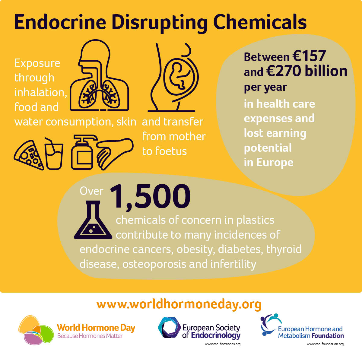 🧬 #WorldHormoneDay 2025: Because #HormonesMatter! 🌍
Hormones shape our health, yet endocrine disorders &amp; EDCs remain a major public health challenge.
🔍We research EDCs to inform better policies &amp; protect health: enkore-cluster.eu/about/endocrin…
#EUfunded #HorizonEU @‌ESEndocrinology