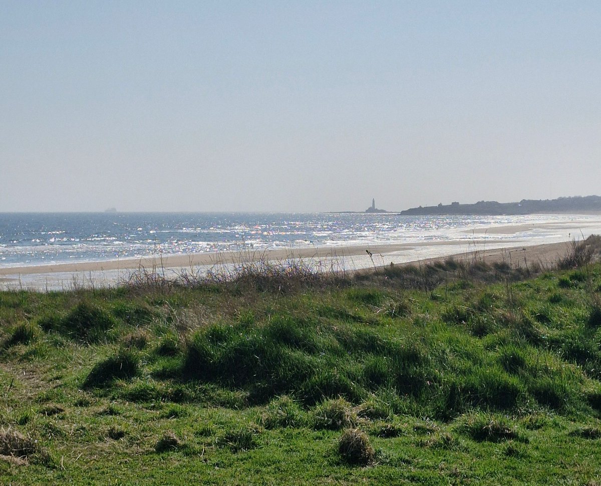 Spring has sprung!  Homemade bread, beach and roast spring veg with home grown rosemary 😊
