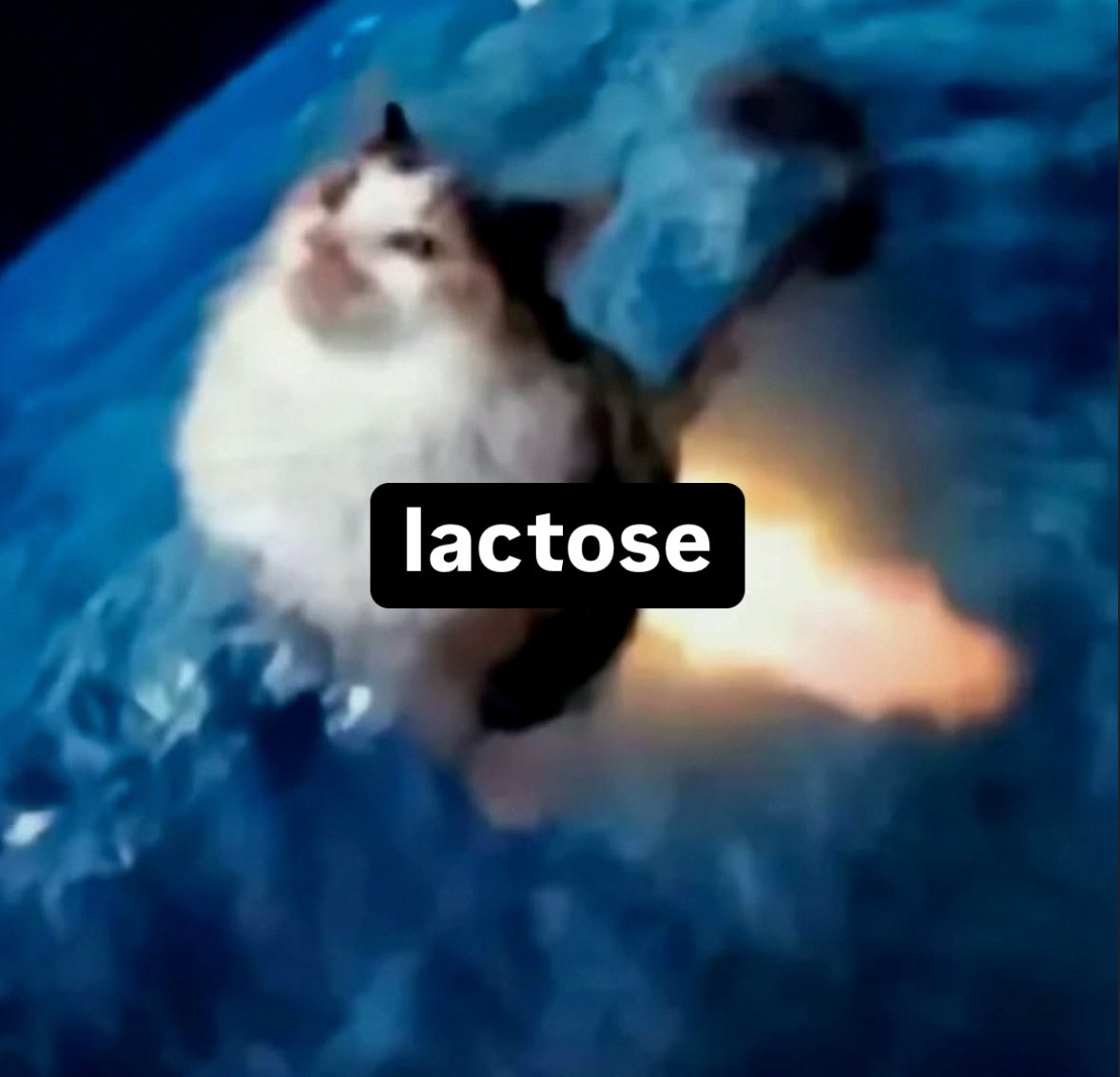 memefeos's tweet image. 