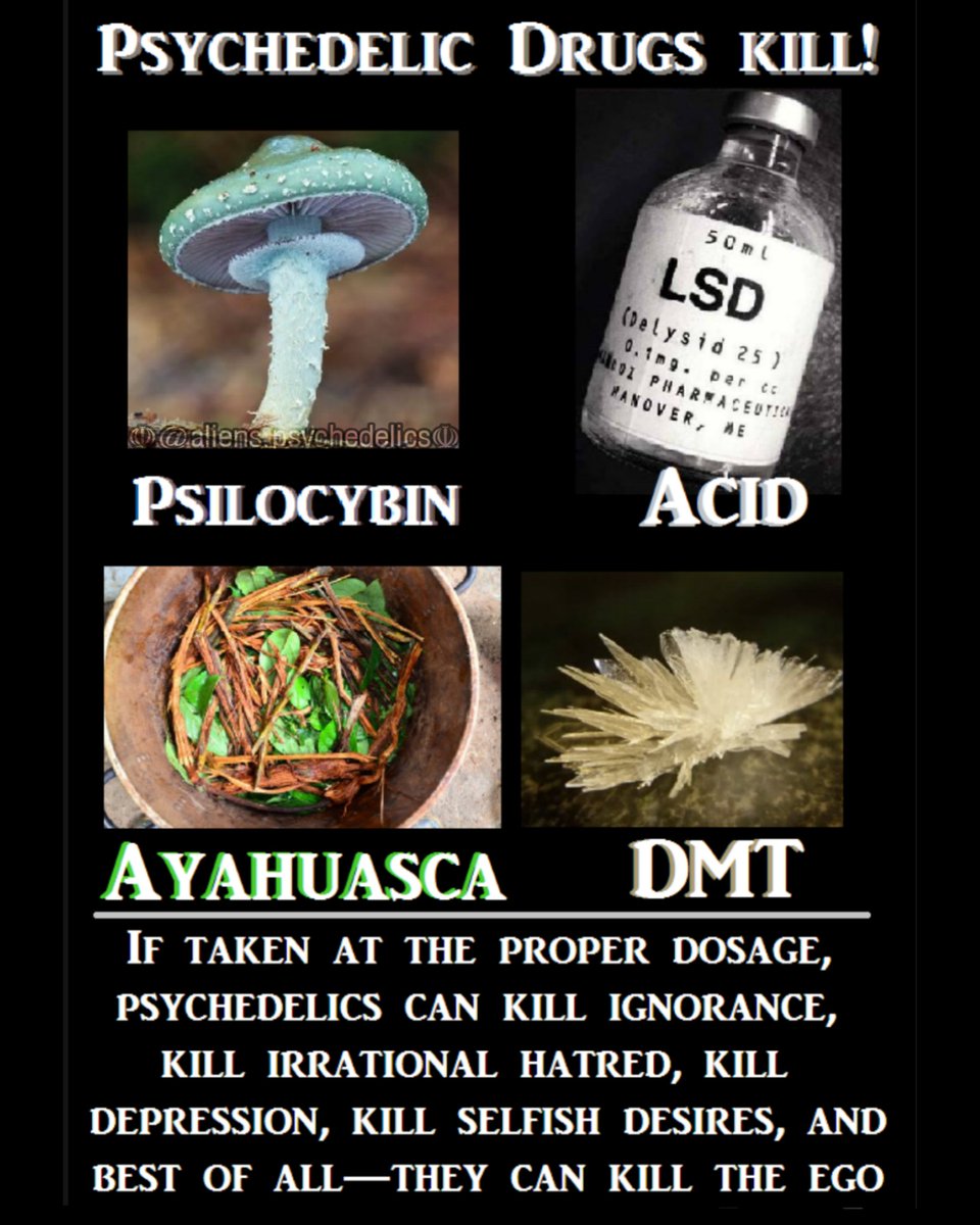 APsychedelics's tweet image. Psychedelic Drugs kill! ๐ฝ