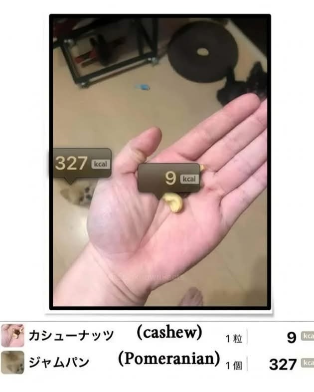 LongItAll💹 tweet media