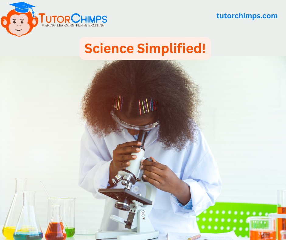 TutorChimpsTeam's tweet image. 🔬 Science doesn’t have to be scary! Our tutors break down complex concepts into bite-sized lessons. Ready to experiment with success? 
�#ScienceHelp#TutorChimps