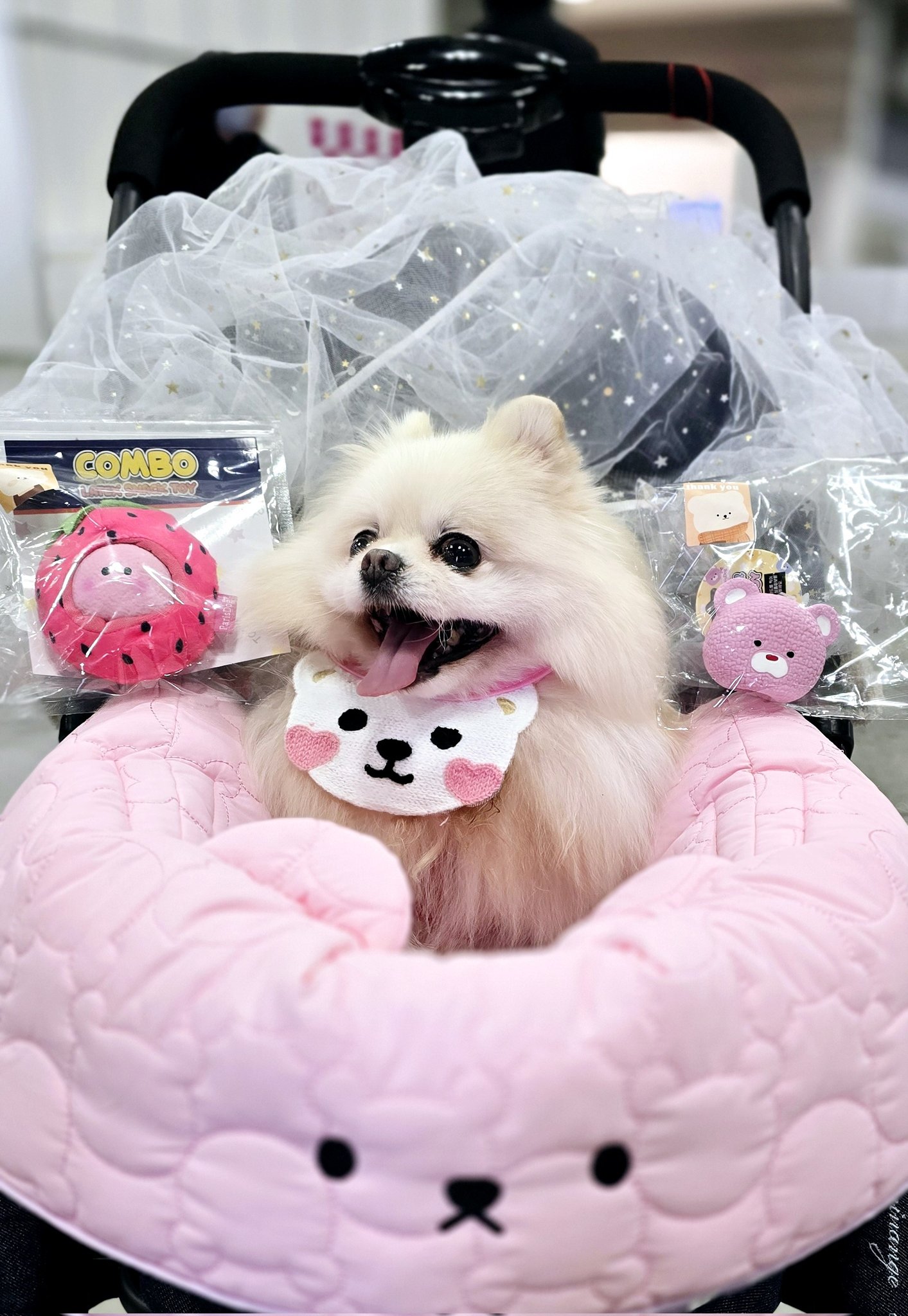 「大人気 新入荷 新品」に該当するファッション通販 ちびポメあめしゃん (@yui_katase6) / X チャーム