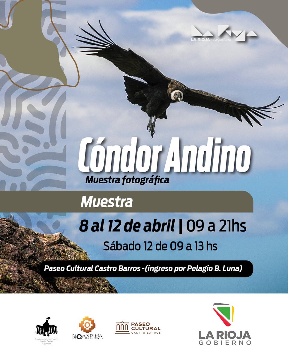 🦅📸 ¡No te pierdas la Muestra Fotográfica Cóndor Andino ! Del 8 al 12 de abril en el Paseo Cultural Castro Barros. Conocé el trabajo de la Fundación Bioandina para la conservación de esta especie emblemática. 🌍💚 #CóndorAndino #Conservación #LaRioja
