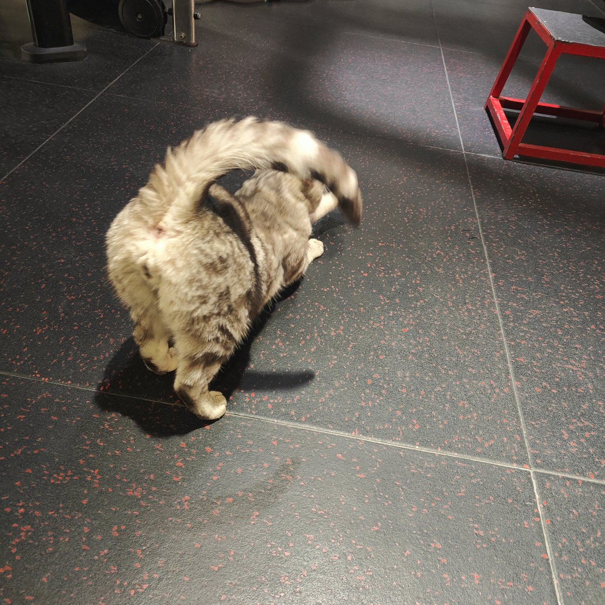 小阳小阳 tweet media