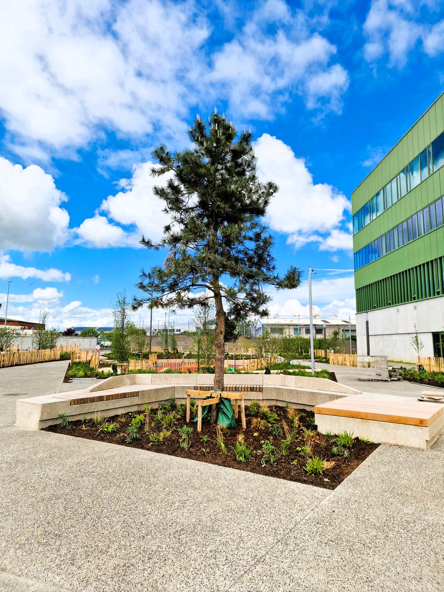 PUNCH Consulting tweet media