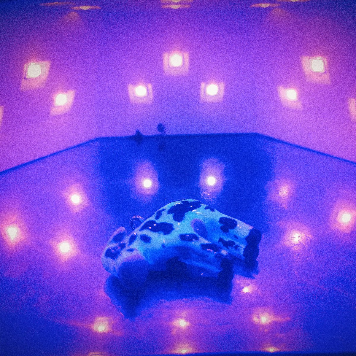 Пока сушила фигурку, случайно сделала фото для обложки speed up + reverb ремикса