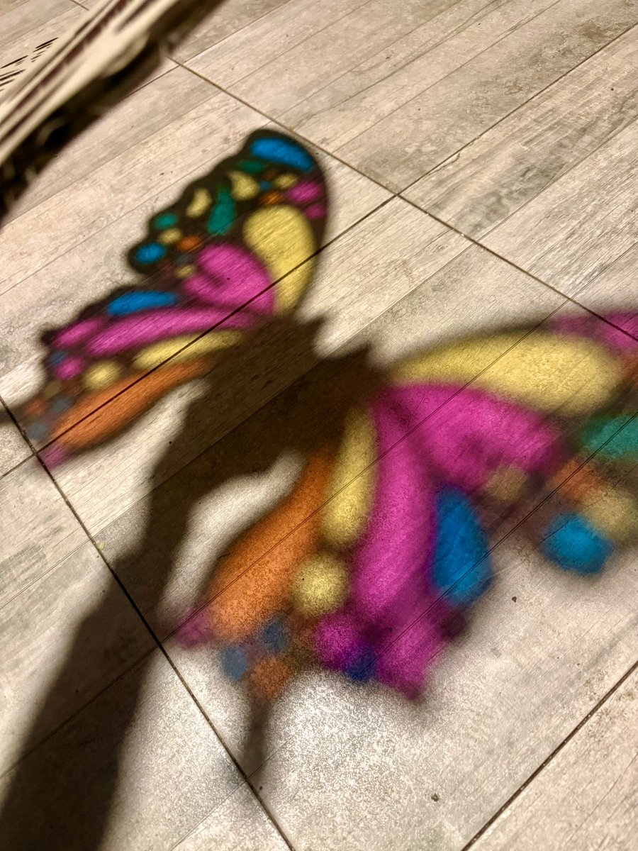 bianpuki's tweet photo. ESTE EFECTO era el que buscábamos, que con la luz se reflejaran los colores de las alas en el suelo. Hasta me emocionó lo lindo que quedó https://t.co/r5eQbbrdAH
