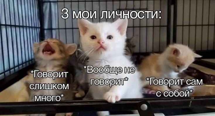 rust^pansy ♡люблю жемчужинку♡ (@foockthisworld1) on Twitter photo 