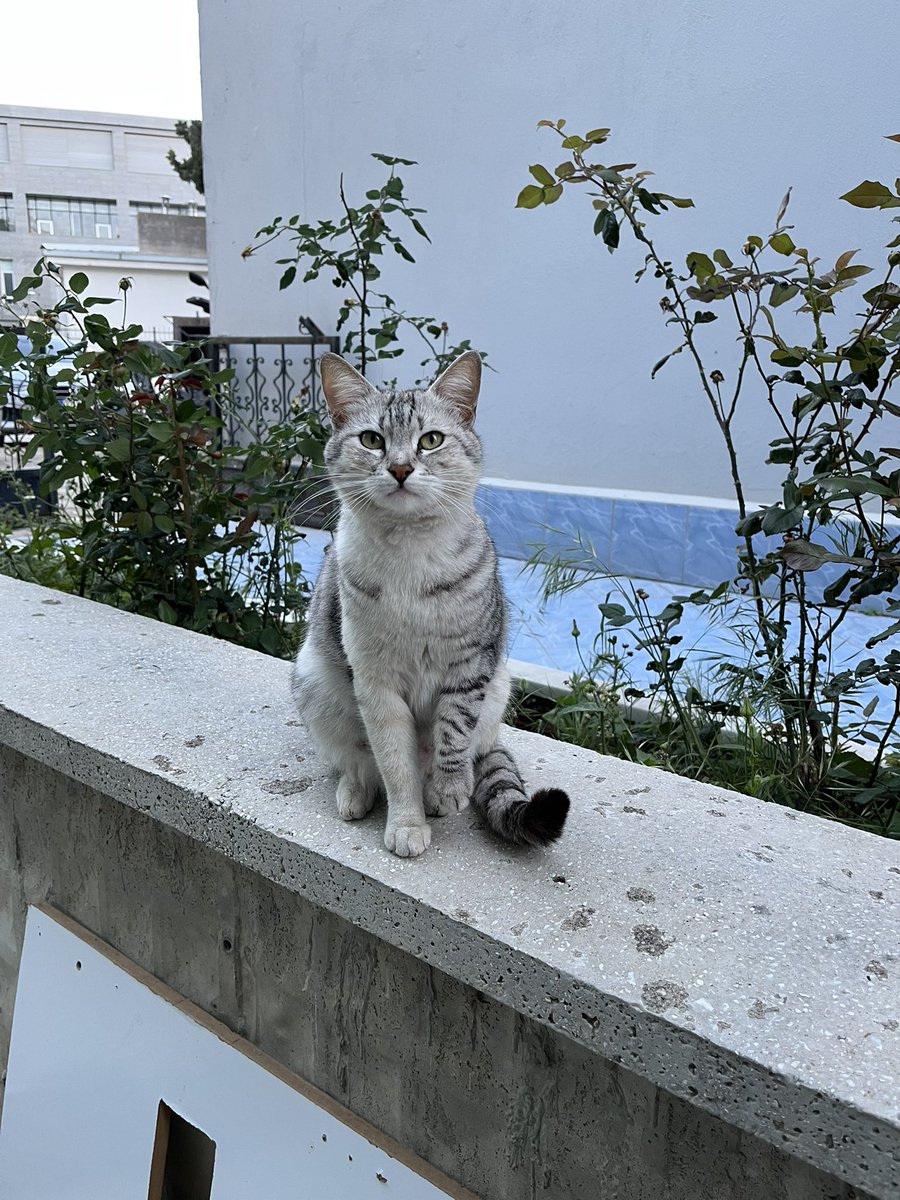 birinin ayağı gerçekten kırık diğeri dalga geçmek için öyle duruyor😭😭😭