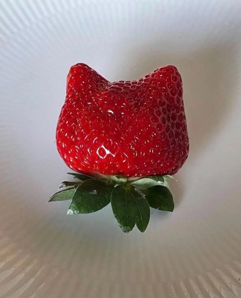 artindetails's tweet image. strawberries