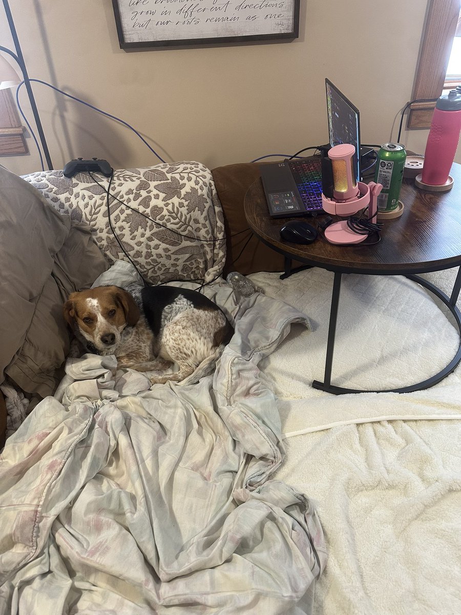 Back pain flared back up but Verdansk dropped so couch set up it is, featuring gamer Soup