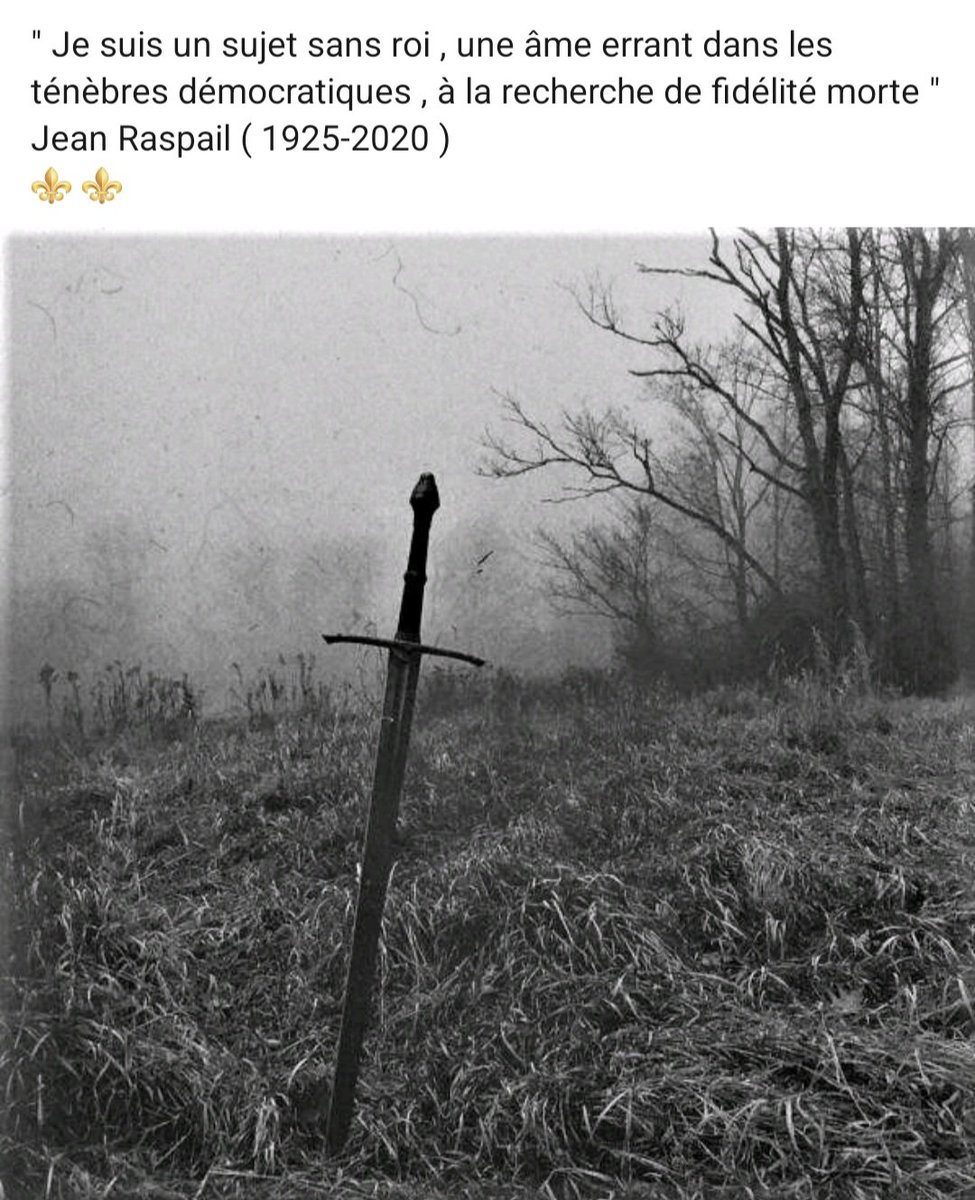 B_r_guillot's tweet image. 