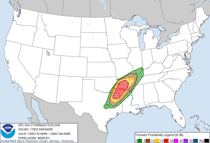 charlotte 🌸 tweet media