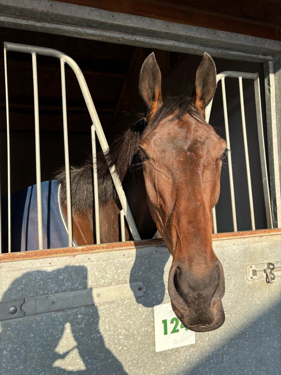 Seo Linn feeling very happy with herself after winning the Grade 2 Mares Bumper at Aintree 😍
