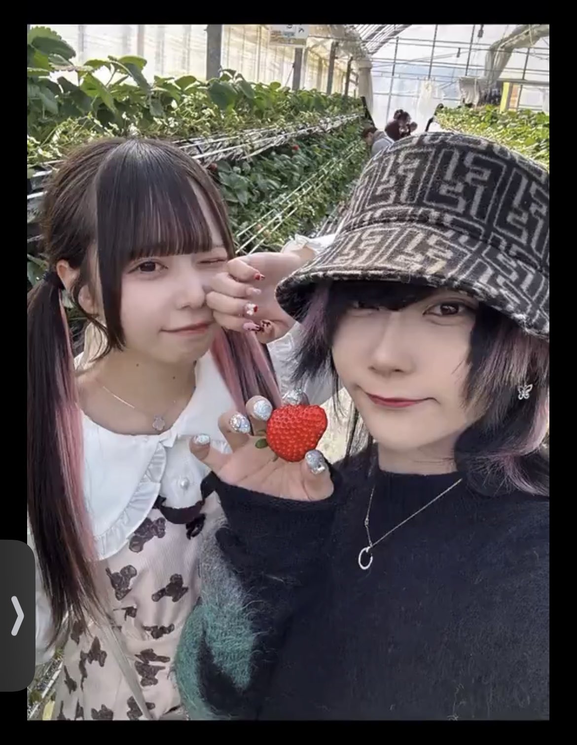 蝉丸 SEMIMARU on X: 