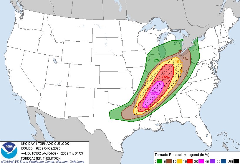 charlotte 🌸 tweet media