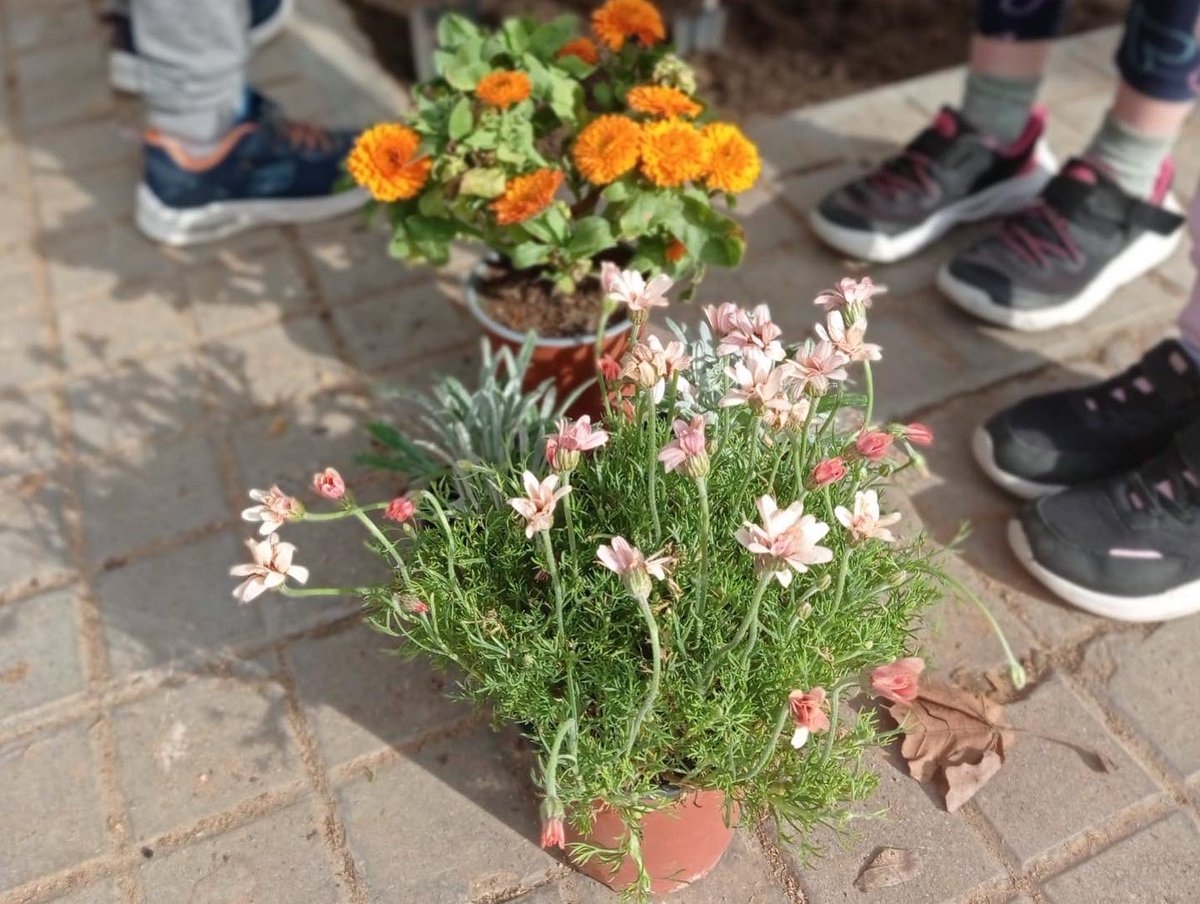 EscolaCatalonia's tweet photo. Participem a la festa de la primavera escolar naturalitzant els escocells de l’entorn de l’escola, una activitat duta a terme pels infants de 1r. 🌸🦜 #Primavera #EscolaVerda #EducacióSostenible @bcn_santmarti @Educambient_ @barcelona_cat https://t.co/MOmrvsyjG4
