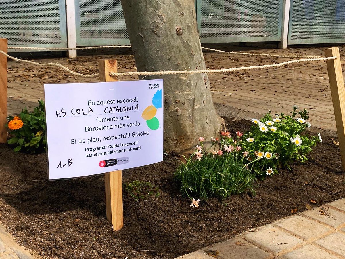 EscolaCatalonia's tweet photo. Participem a la festa de la primavera escolar naturalitzant els escocells de l’entorn de l’escola, una activitat duta a terme pels infants de 1r. 🌸🦜 #Primavera #EscolaVerda #EducacióSostenible @bcn_santmarti @Educambient_ @barcelona_cat https://t.co/MOmrvsyjG4