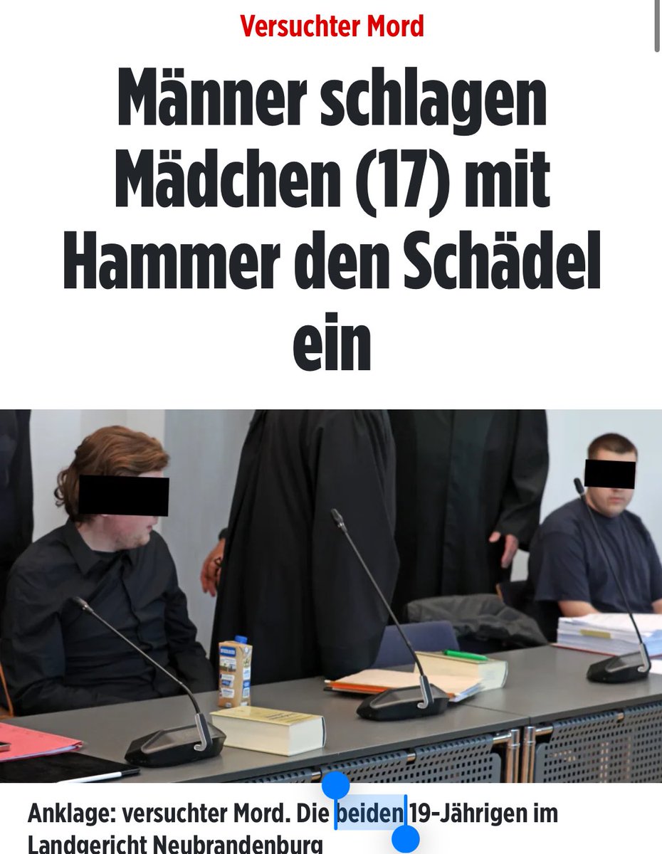 Die Deutschen stehen vor dem Landgericht Neubrandenburg in Mecklenburg. Unsere Töchtern sind nicht mehr sicher.