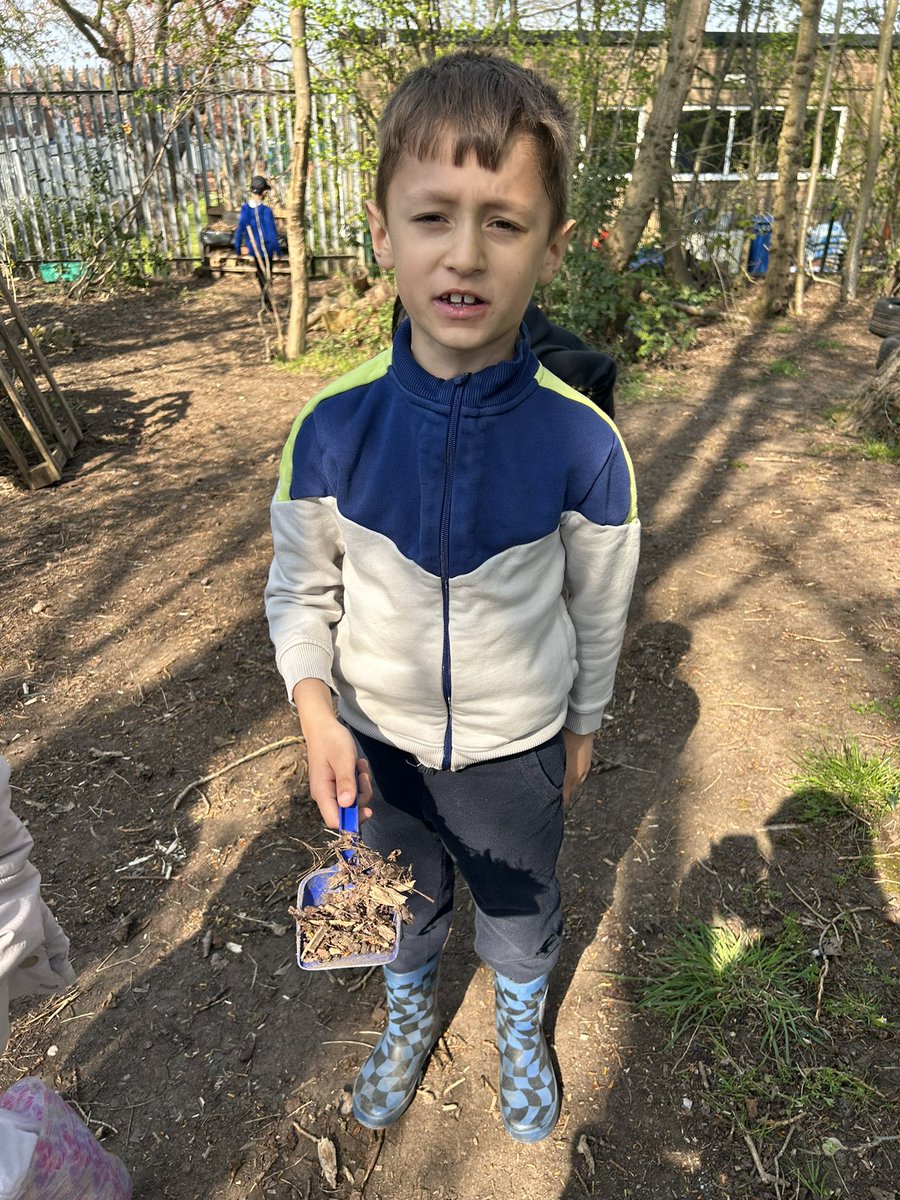 Mrs Ward ๐ป (@mrsward49) on Twitter photo 3JM had the best time at Forest School this afternoon. We were collecting old leaves, twigs and logs to help with the bug habitats that the children had built ๐คฉ๐ป๐๐ชฑ๐๐@HT_LFP <a href="/LLF_DHT/">Mr. White DHT ๏ฃฟ</a> <a href="/MrsMurphy7522/">Mrs Murphy ๐ โ๏ธ ๐</a> <a href="/LFPAPjhast/">Mr J Hastings</a> 3JM had the best time at Forest School this afternoon. We were collecting old leaves, twigs and logs to help with the bug habitats that the children had built ๐คฉ๐ป๐๐ชฑ๐๐@HT_LFP <a href="/LLF_DHT/">Mr. White DHT ๏ฃฟ</a> <a href="/MrsMurphy7522/">Mrs Murphy ๐ โ๏ธ ๐</a> <a href="/LFPAPjhast/">Mr J Hastings</a>