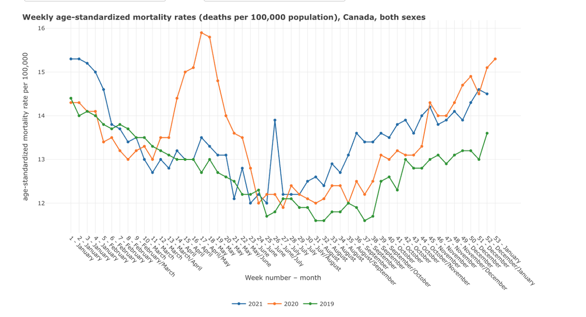 Steverino 🇨🇦 tweet media