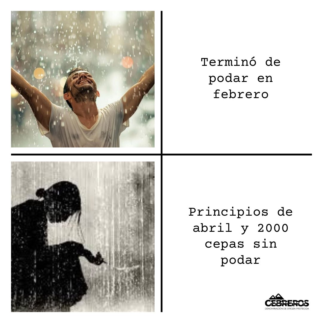 Así estamos 😅.

Ánimo, que estas lluvias son una maravilla 😃.

#DOPCebreros #Ávila #SierradeGredos