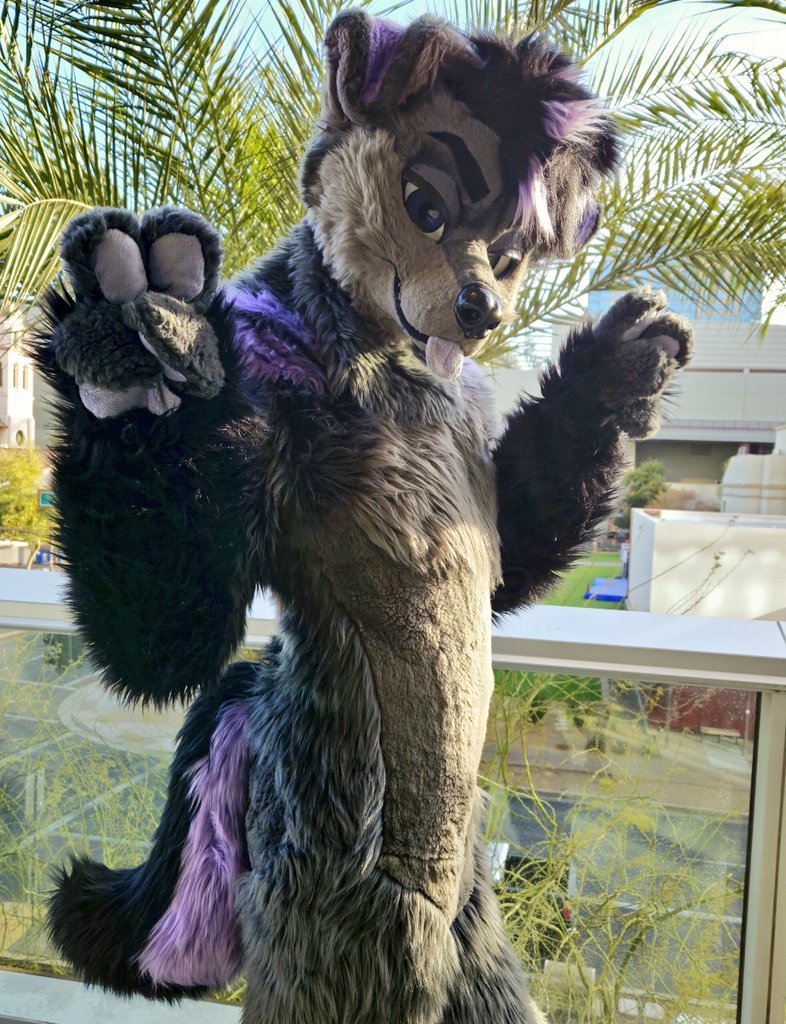 sona vs self! 

hi im pleo and i like chicken tendies, vidya games and hiking  🏜️