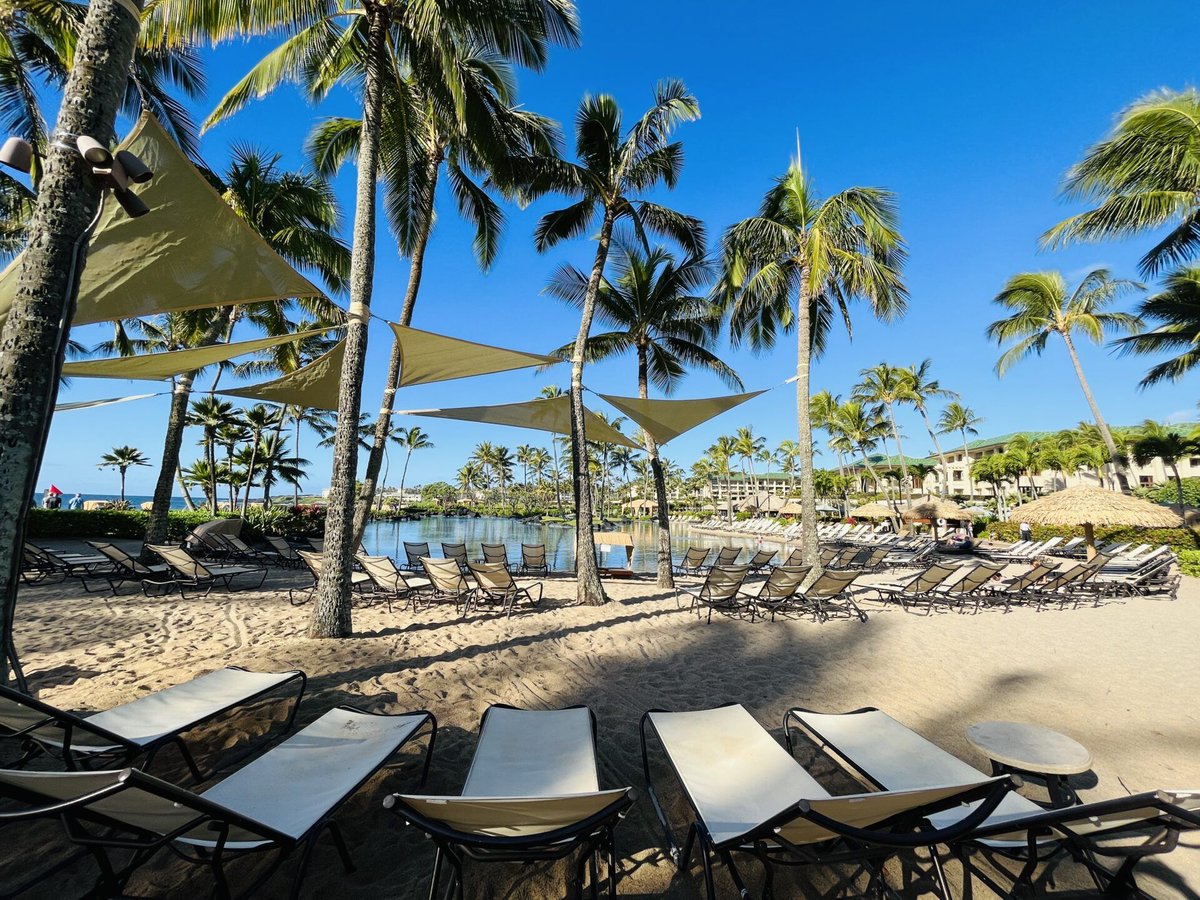 thepointslife's tweet photo. I got approved for the Hyatt business card. One of the benefits is the ability to gift Discoverist status to another World of Hyatt member. Here's how I gifted the Discoverist status to P2's account. 

https://t.co/ZSddf4dru6 https://t.co/oKWFn4V1JO