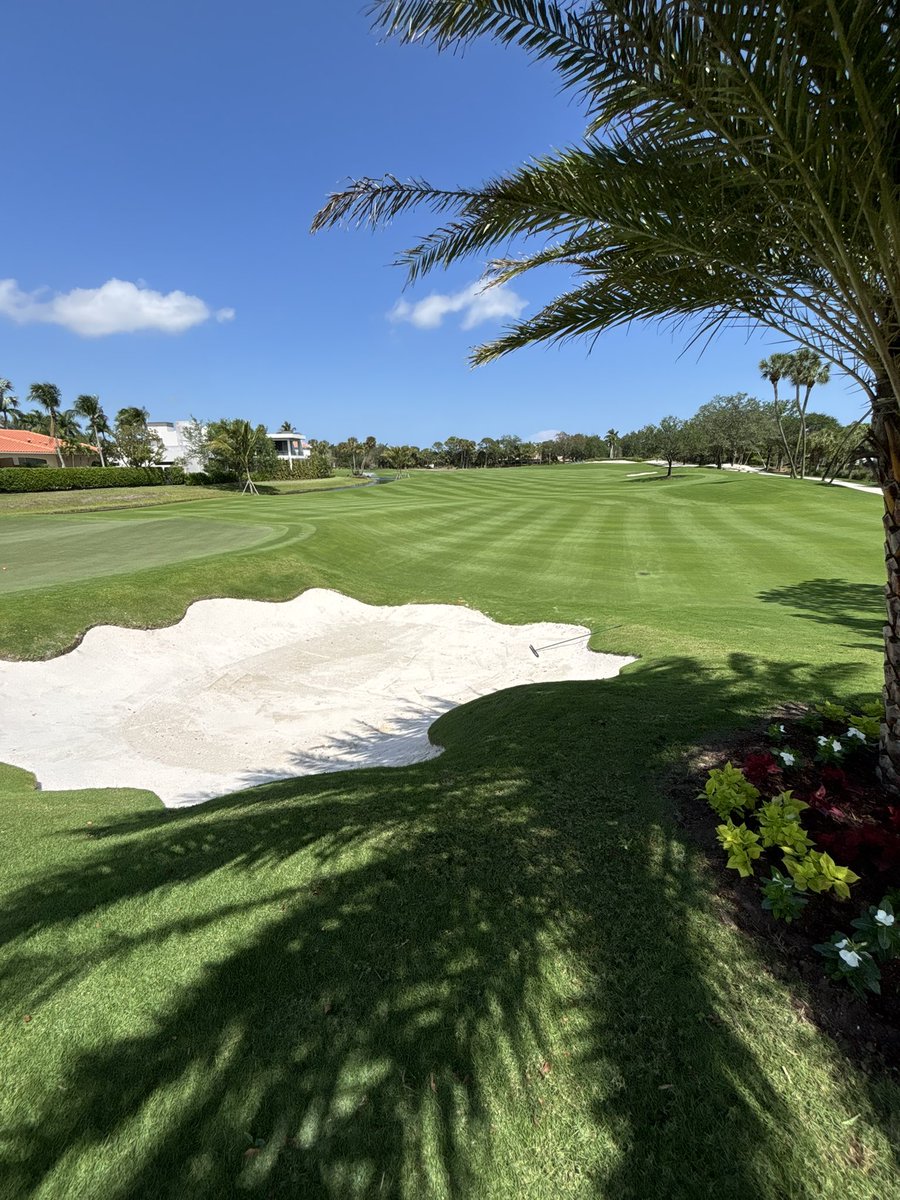 Josh Fleisher tweet media