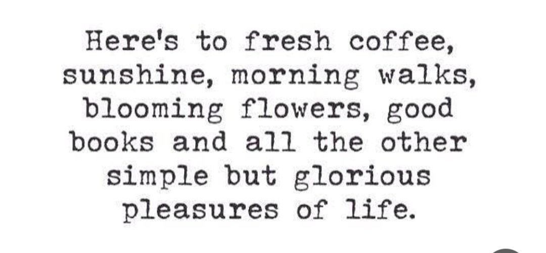 Yes yes yes😎☕️🌺🏵xxx
