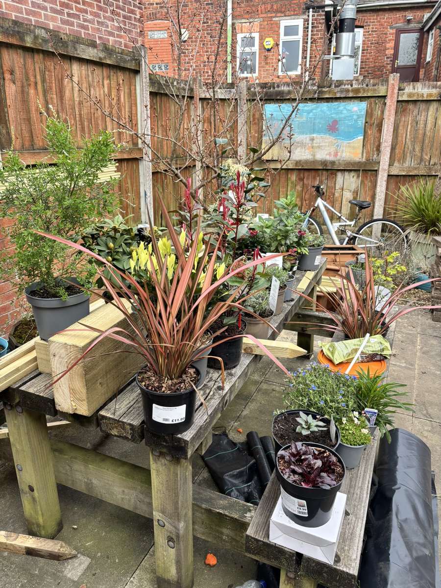 Bay6Project's tweet image. Lots happening in the Bay6 garden! It’s going to look amazing! #gardenmakeover #specialplace #homesweethome