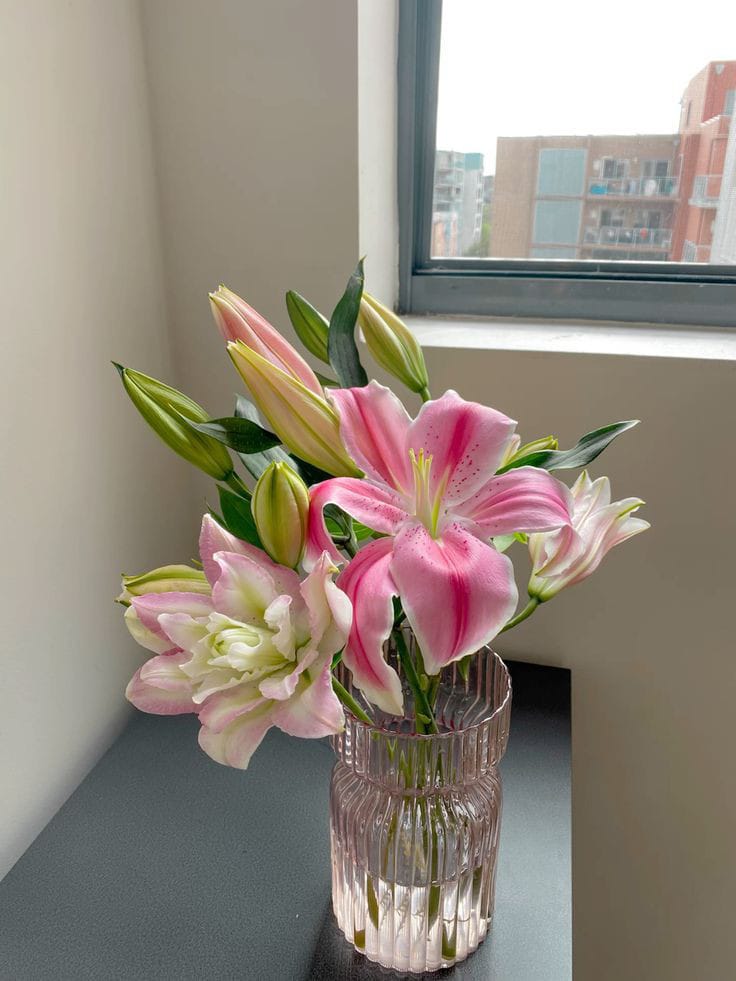 fairyprxncess's tweet photo. lilies <3 https://t.co/Uk2kOkQrja